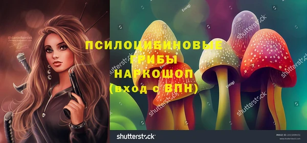 герыч Дмитров